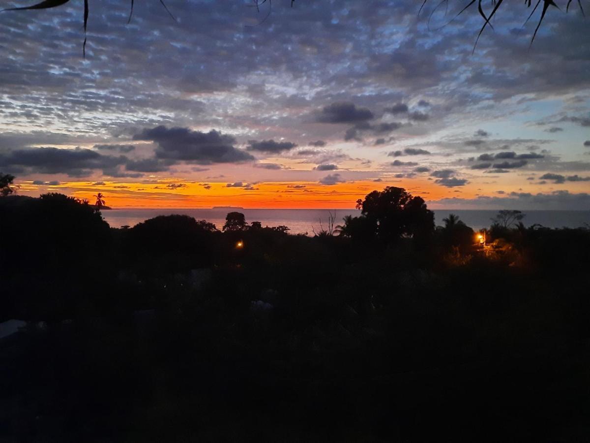Hotel Gitana Corcovado, Y Tour Operador Drakes Bay エクステリア 写真