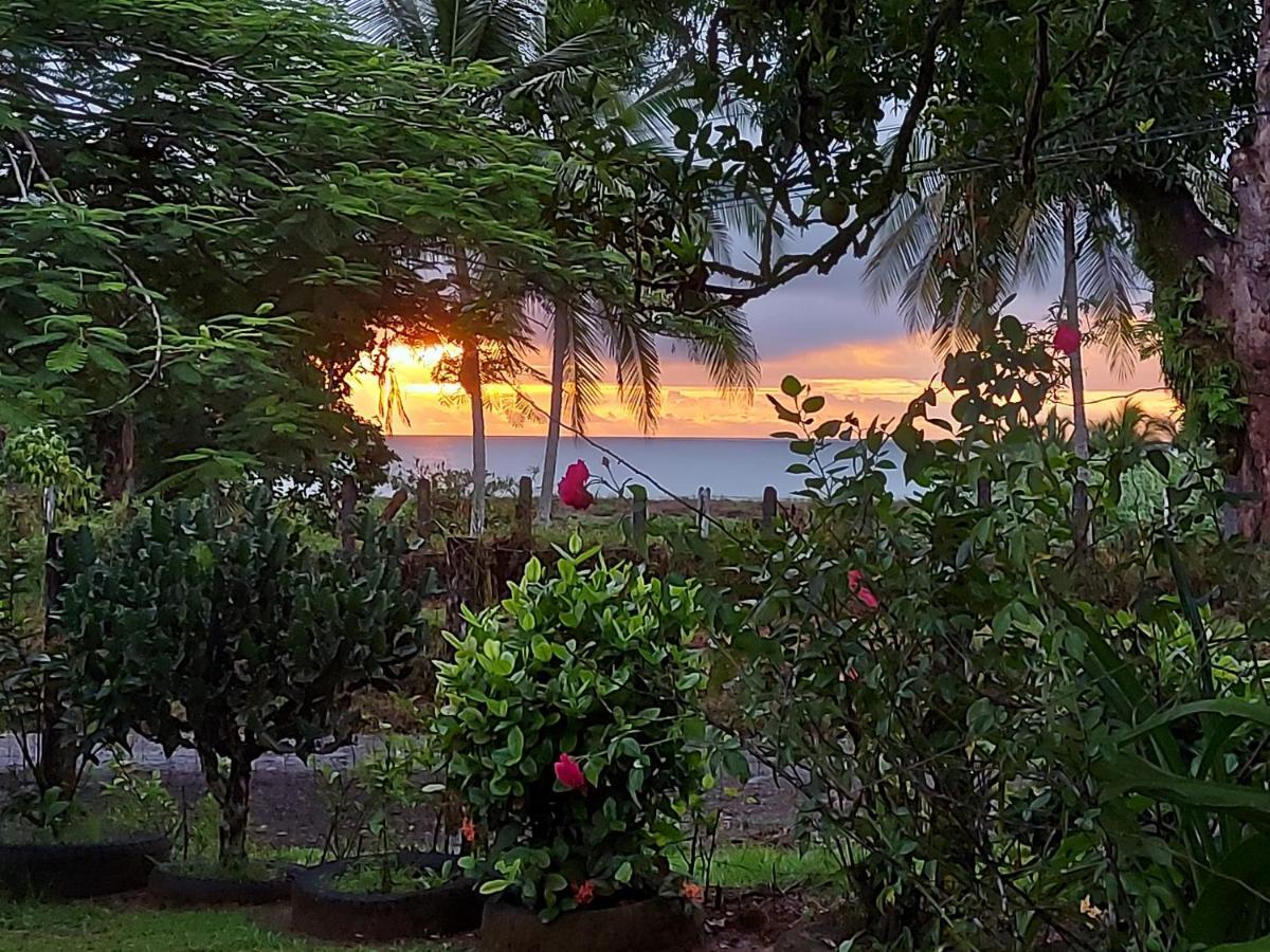 Hotel Gitana Corcovado, Y Tour Operador Drakes Bay エクステリア 写真