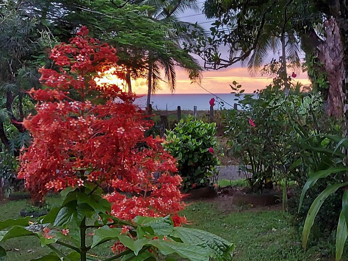 Hotel Gitana Corcovado, Y Tour Operador Drakes Bay エクステリア 写真