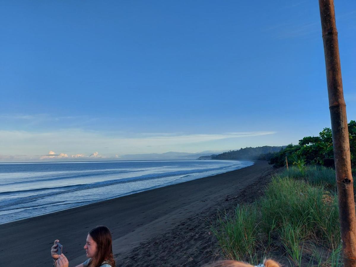 Hotel Gitana Corcovado, Y Tour Operador Drakes Bay エクステリア 写真