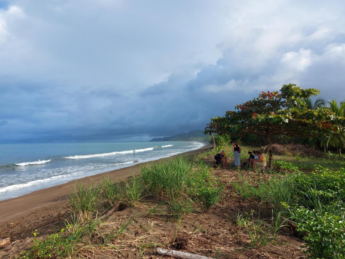Hotel Gitana Corcovado, Y Tour Operador Drakes Bay エクステリア 写真