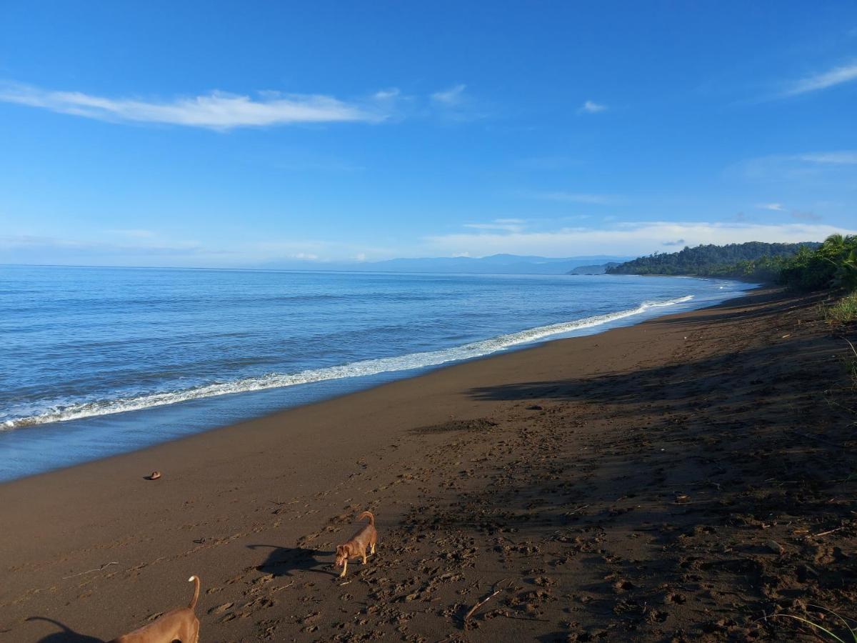 Hotel Gitana Corcovado, Y Tour Operador Drakes Bay エクステリア 写真
