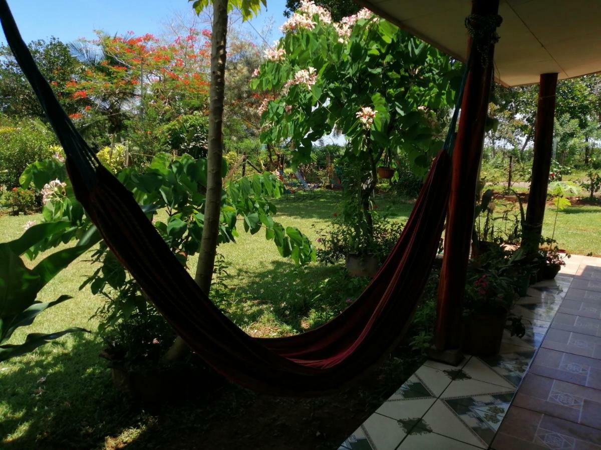Hotel Gitana Corcovado, Y Tour Operador Drakes Bay エクステリア 写真